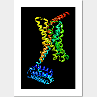 GPCR Posters and Art